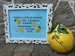 (image for) Lemons